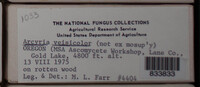 Image Associated With the Occurence